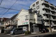 シャンブル楢