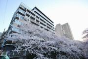 アールコート早稲田