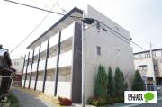Jon Novi yokohama