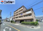 ルイナール高針