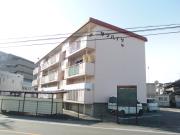サンハイツ54