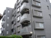 ストリーム橋本