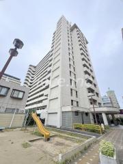 パルハセトン十三