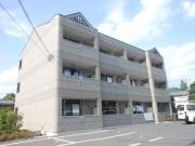 AS・N