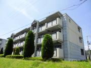 井吹東シティコート17号棟 Aタイプ