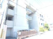 ENコート
