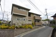 HIBARI