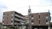 ベルデ森孝