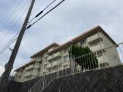 白川台藤ハイツ