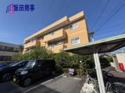 サンフラワーII
