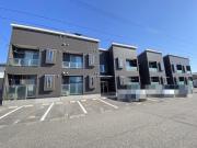 TK小新南