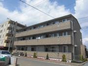 ツインハーモニー B