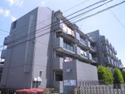 エースCity