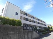 シンシア