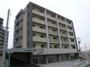 S-BOX泉