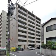WILLDO金山正木