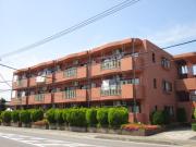 バルパレーアンソレイユ1