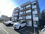 PLAISIR11 プレジール11
