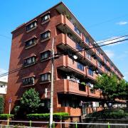 エクロール蓮根