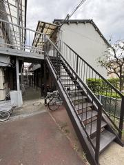 馬場文化