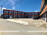 ルピナスミナト