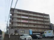 ムーンローズ