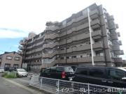 ロイヤルクローバー