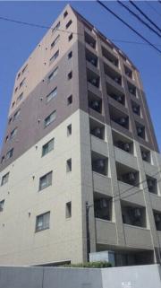S FORT柏