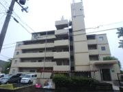 VIVACE HATA
