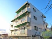 Lepards town 台原