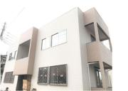 ステラ香椎