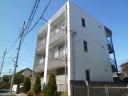 アンプルールフェールVerde