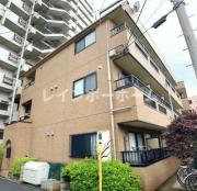 JC SOUTH SHIKI 295