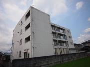 国府マンション