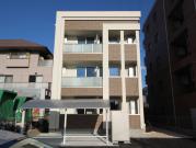Stella Court