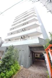 Pine Well′s