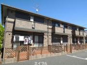 シャンクラインC