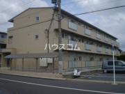 ゴールドパストラルV
