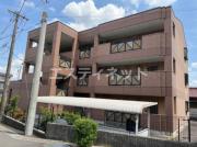 Asobi PALACE柊
