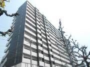パークフラッツ金山