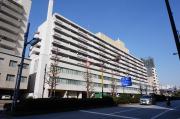プラザ江戸川橋