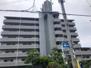 エフォール・ナガイ