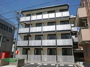 橘