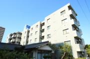 Shoei Building No.11