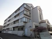 オザサライブコープ
