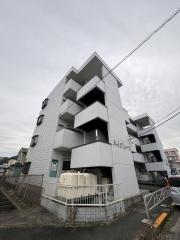 ハイグレース