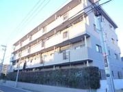都営大江戸線光が丘駅まで徒歩10分