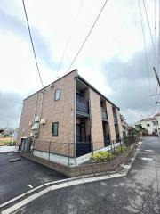 コスモス