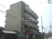 エクセレントサカキ