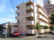 アルバス本町